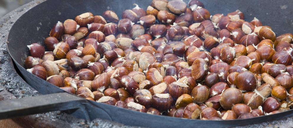 Rezept Maronen Wirsing Pfanne mit Nuss Soße hr fernsehen de Rezepte