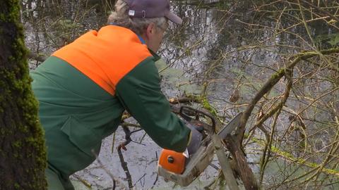 Aus Fischteich wird Biotop