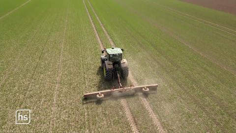 Traktor mit Pflug auf dem Feld