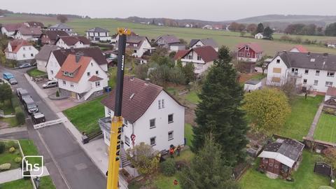 Kran und Kasseler Weihnachtsbaum