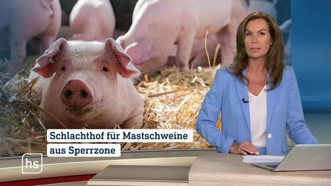 Moderatorin Claudia Schick im Studio