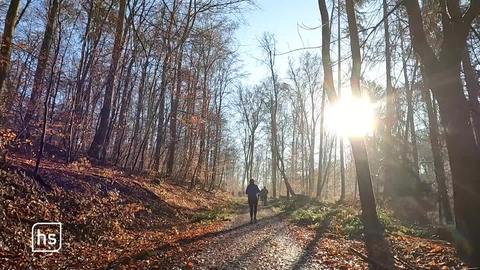 Gänsebratenlauf