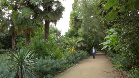 Botanische raritäten wachsen am Mainufer