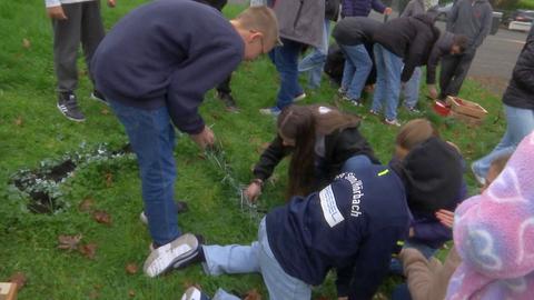 Frühblüher Pflanzaktion für Schüler