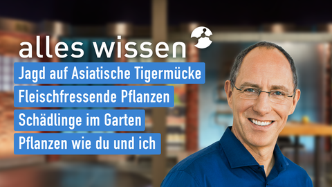 Moderator Thomas Ranft sowie die Themen bei "alles wissen" am 08.08.2024: Jagd auf Asiatische Stechmücke, Fleischfressende Pflanzen, Schädlinge im Garten, Pflanzen wie du und ich