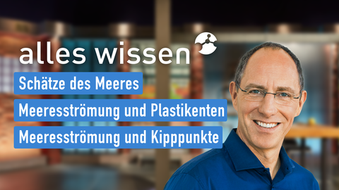 Moderator Thomas Ranft sowie die Themen bei "alles wissen" am 15.08.2024: Schätze des Meeres, Meeresströmung und Plastikenten, Meeresströmung und Kipppunkte