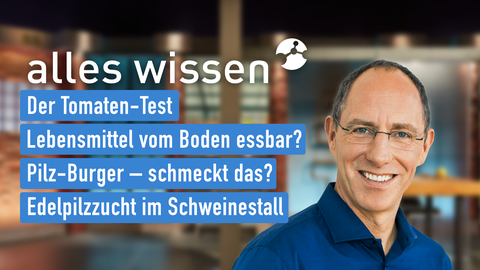 Moderator Thomas Ranft sowie die Themen bei "alles wissen" am 29.08.2024: Der Tomaten-Test, Lebensmittel vom Boden essbar?, Pilz-Burger - schmeckt das?, Edelpilzzucht im Schweinestall