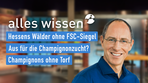 Moderator  Thomas Ranft sowie die Themen bei "alles wissen" am 12.09.2024: Hessens Wälder ohne FSC-Siegel, Aus für die Champignonzucht?, Champignons ohne Torf