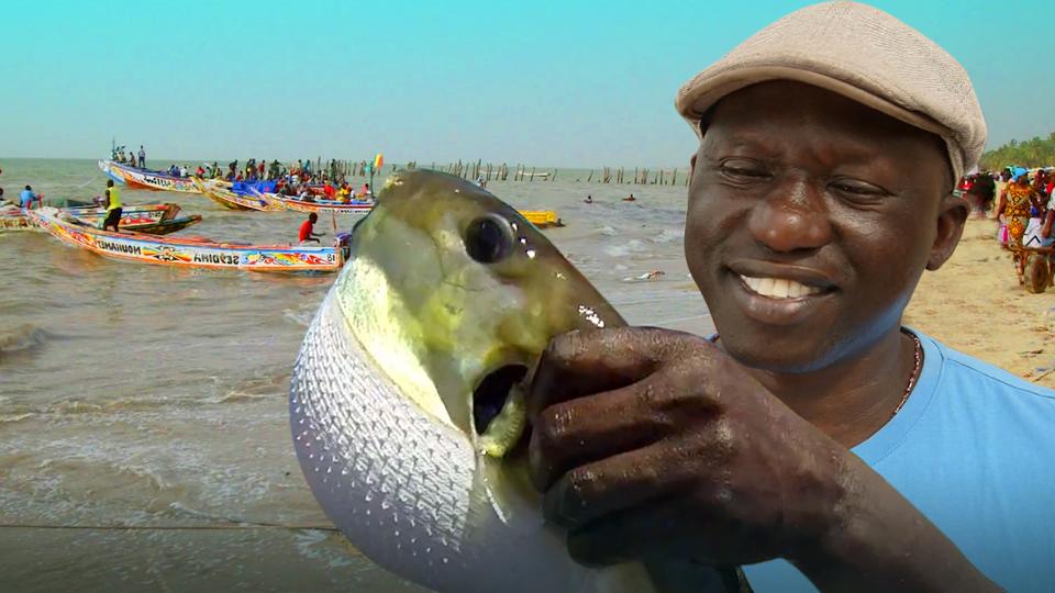 Re Bleibt Wo Ihr Seid Fischen Gegen Fluchtursachen Im Senegal Hr Fernsehen De Tv Programm