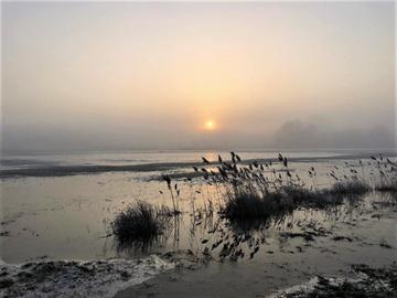 Wetterfotos Februar 2020_hallo hessen