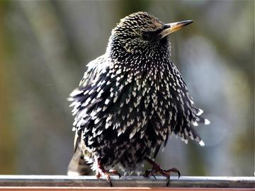 Wetterfotos Februar 2020_hallo hessen