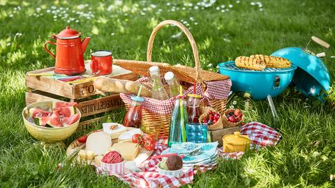 Ein Picknickkorb auf einer Wiese mit Weißbrot, Wassermelone, verschiedene Käsesorten, Eis und reichlich Getränken.