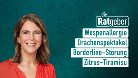 Moderatorin Anne Brüning sowie die Themen bei "Die Ratgeber" vom 09.08.2024: Wespenallergie, Drachenspektakel, Borderline-Störung, Zitrus-Tiramisu