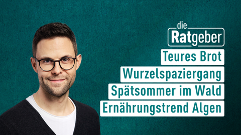 Moderator Kai Fischer sowie die Themen bei "Die Ratgeber" am 23.10.2024: Teures Brot, Wurzelspaziergang, Spätsommer im Wald, Ernährungstrend Algen