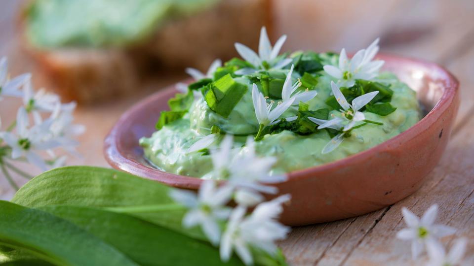 Rezept Bärlauch Blüte