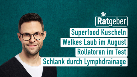 Moderator Kai Fischer mit den Themen der Sendung "Die Ratgeber" vom 26.08.2024: Superfood Kuscheln, Welkes Laub im August, Rollatoren im Test, Schlank durch Lymphdrainage