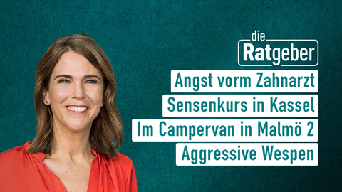 Moderatorin Anne Brüning mit den Themen der Sendung "Die Ratgeber" vom 03.09.2024: Angst vorm Zahnarzt, Sensenkurs in Kassel, Im Campervan in Malmö 2, Aggressive Wespen