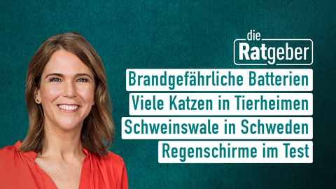 Anne Brüning mit den Themen der Sendung "Die Ratgeber" vom 05.09.2024: Brandgefährliche Batterien, Viele Katzen in Tierheimen, Schweinswale in Schweden, Regenschirme im Test