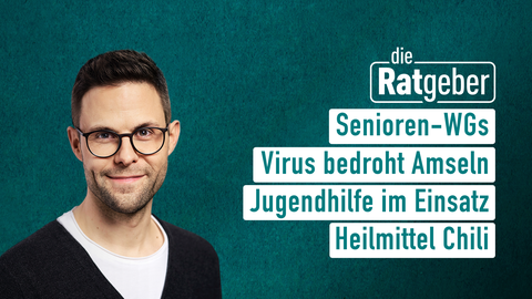 Moderator Kai Fischer mit den Themen der Sendung "Die Ratgeber" vom 10.09.2024: Senioren-WGs, Virus bedroht Amseln, Jugendhilfe im Einsatz, Heilmittel Chili