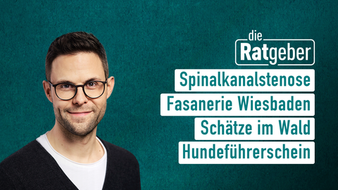 Moderator Kai Fischer sowie die Themen bei "Die Ratgeber" am 21.10.2024: Spinalkanalstenose, Fasanerie Wiesbaden, Schätze im Wald, Hundeführerschein