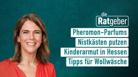 Moderatorin Anne Brüning sowie die Themen bei "Die Ratgeber" vom 28.10.2024: Pheromon-Parfums, Nistkästen putzen, Kinderarmut in Hessen, Tipps für Wollwäsche.