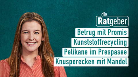 Moderatorin Jennifer Sieglar sowie die Themen bei "Die Ratgeber" vom 05.11.2024: Betrug mit Promis, Kunststoffrecycling, Pelikane im Prespasee, Knusperecken mit Mandel