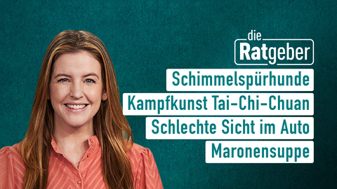 Moderatorin Jennifer Sieglar sowie die Themen bei "Die Ratgeber" am 11.11.2024: Schimmelspürhunde, Kampfkunst Tai-Chi-Chuan, Schlechte Sicht im Auto, Maronensuppe