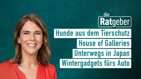 Moderatorin Anne Brüning sowie die Themen bei "Die Ratgeber" vom 23.01.2025: Hunde aus dem Tierschutz, House of Galleries, Unterwegs in Japan, Wintergadgets fürs Auto