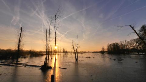 Wetterfotos Februar 2020_hallo hessen