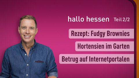 Moderator Jens Kölker sowie die Themen von "hallo hessen" am 04.07.2024: Hortensien im Garten, Rezept: Fudgy Brownies, Betrug auf Internetportalen
