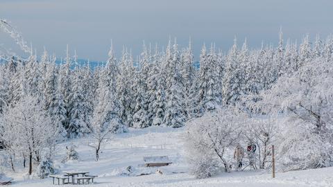 Schneelandschaft bei Willingen.