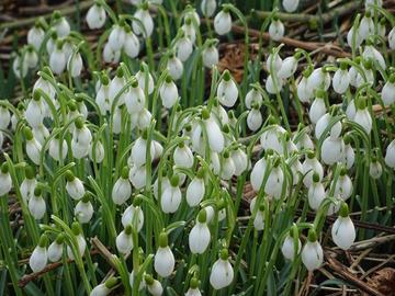 Wetterfotos hallo hessen Februar 2020