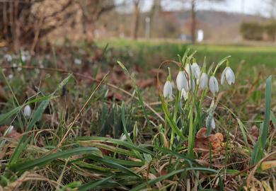 Wetterfotos hallo hessen Februar 2020