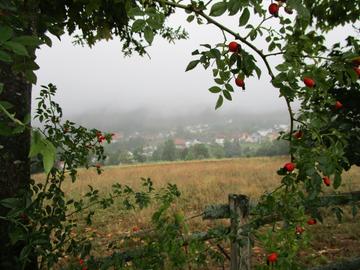 hallo hessen - Wetterbilder