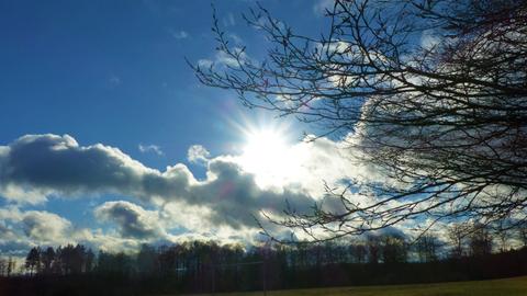 Ein feingliedriger Ast vor einem Wolkenhimmel im Gegenlicht der Sonne. 