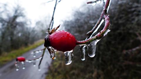 Wetterfotos hallo hessen