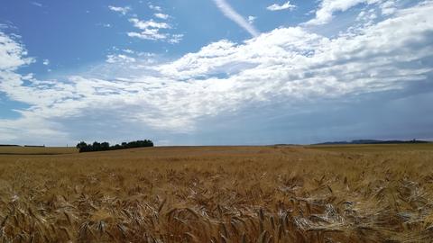 wetterfoto-kw27