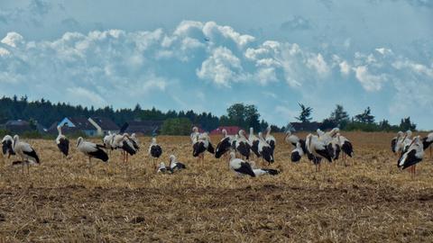 hahe-wetterbilder-aug2019