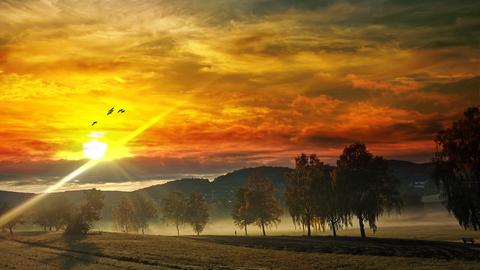 Sonnenaufgang bei Frühnebel an Stockwiese in Reichelsheim im Odenwald - mit rotgetränktem Himmel und Vögeln vor der Sonne.