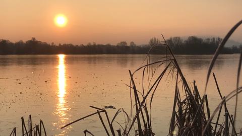 Ein See im rötlichen Abendlicht mit Schilf im Vodergrund. 