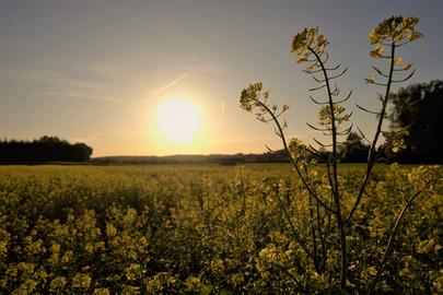 Wetterbilder hallo hessen