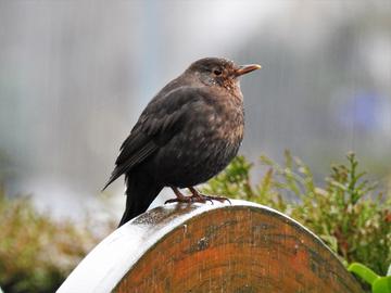 Wetterfotos hallo hessen Februar 2020