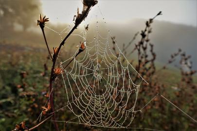 hallo hessen - Wetterbilder