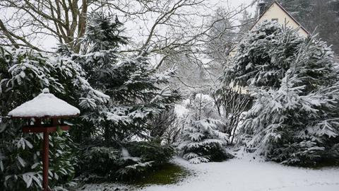 Wetterfotos hallo hessen