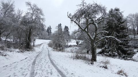 Ein Feldweg im Schnee. 