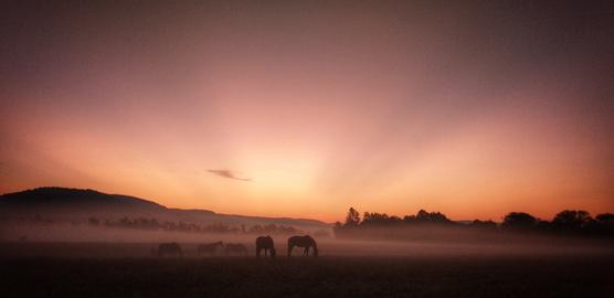 Wetterbilder hallo hessen