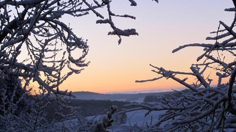 Mit Schnee bedeckte Äste vor einer verschneiten Landschaft im Abendlicht. 