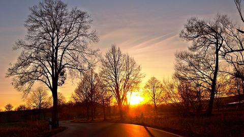 Sonnenuntergang im Schwälmer Land mit Bäumen und der Spiegelung der Sonne auf der Straße. 