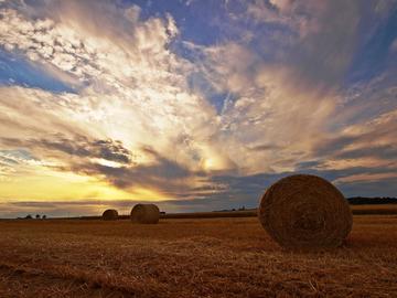 Wetterbilder