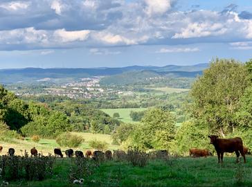 Wetterbilder hallo hessen